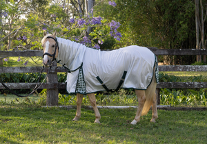 Horse wearing a white fly sheet with green checkered pattern in a grassy field.