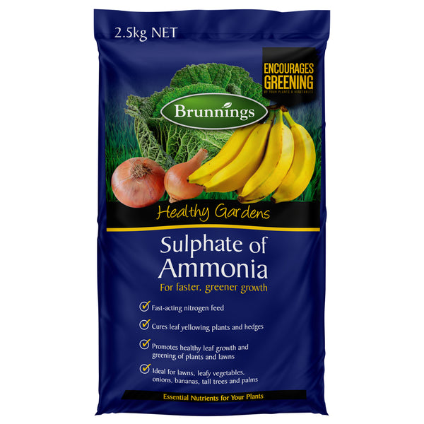 ammonia fertilizer for plants Brunnings Sulphate Of Ammonia