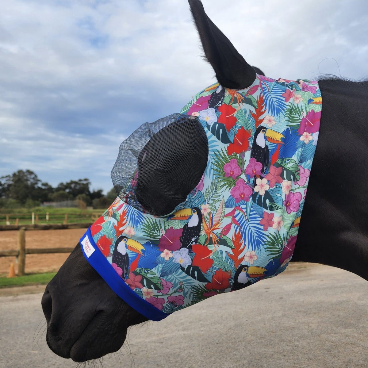 Buggez Bugeye Fly Mask with Insect Mesh