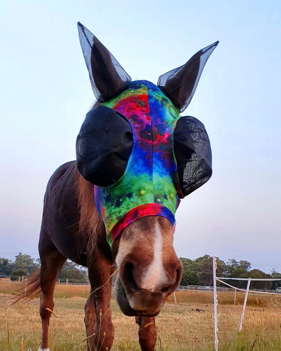 Buggez Mesh Fly Mask with Insect Mesh Ears
