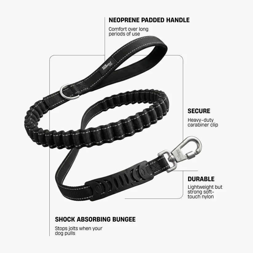 Dog Friendly Co Bungee Dog Leash