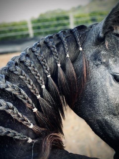 Buzz Balms Braid Beehave