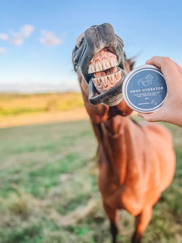 Buzz Balms Hoof Hydrator