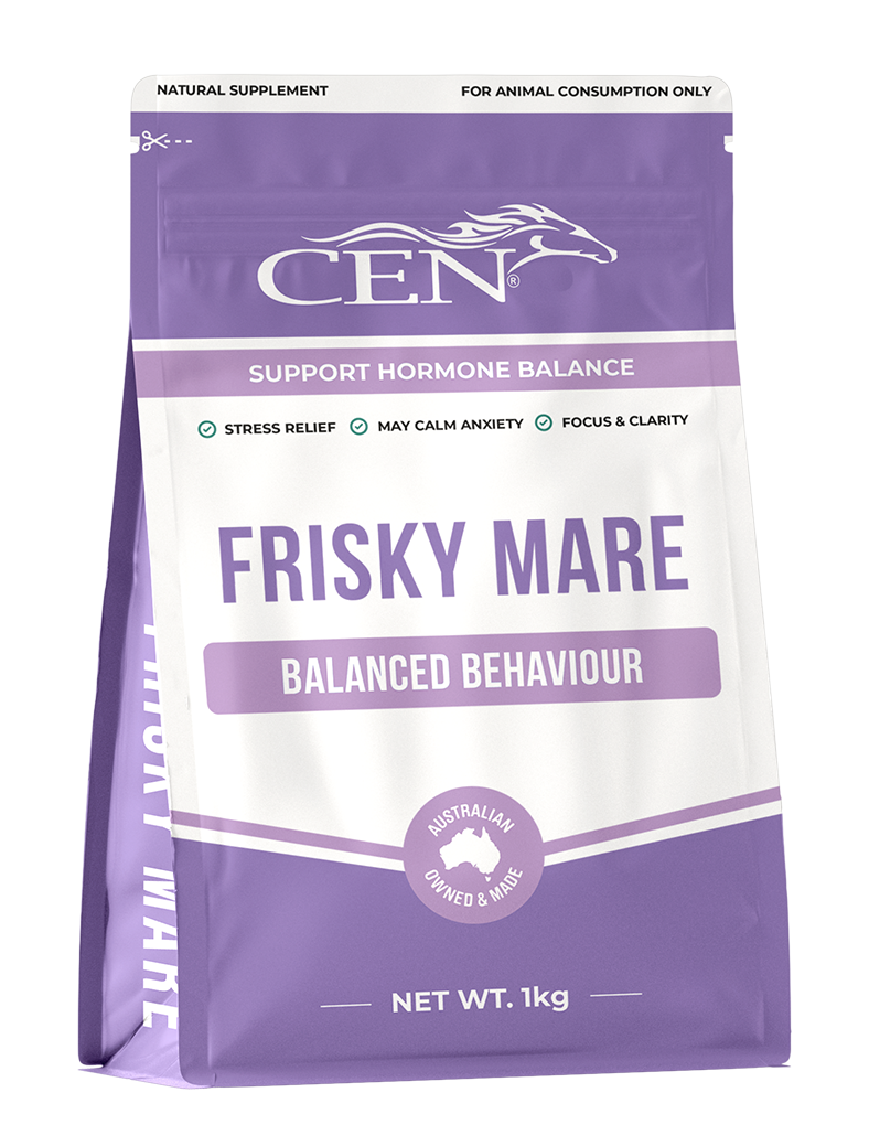 CEN Frisky Mare