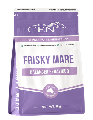CEN Frisky Mare