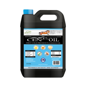 CEN Oil