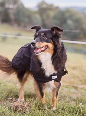 Nullarbor Oilskin Dog Coat 25cm