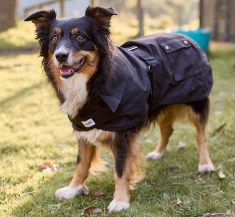 Nullarbor Oilskin Dog Coat 25cm