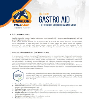 Cavalor Gastro Aid Paste