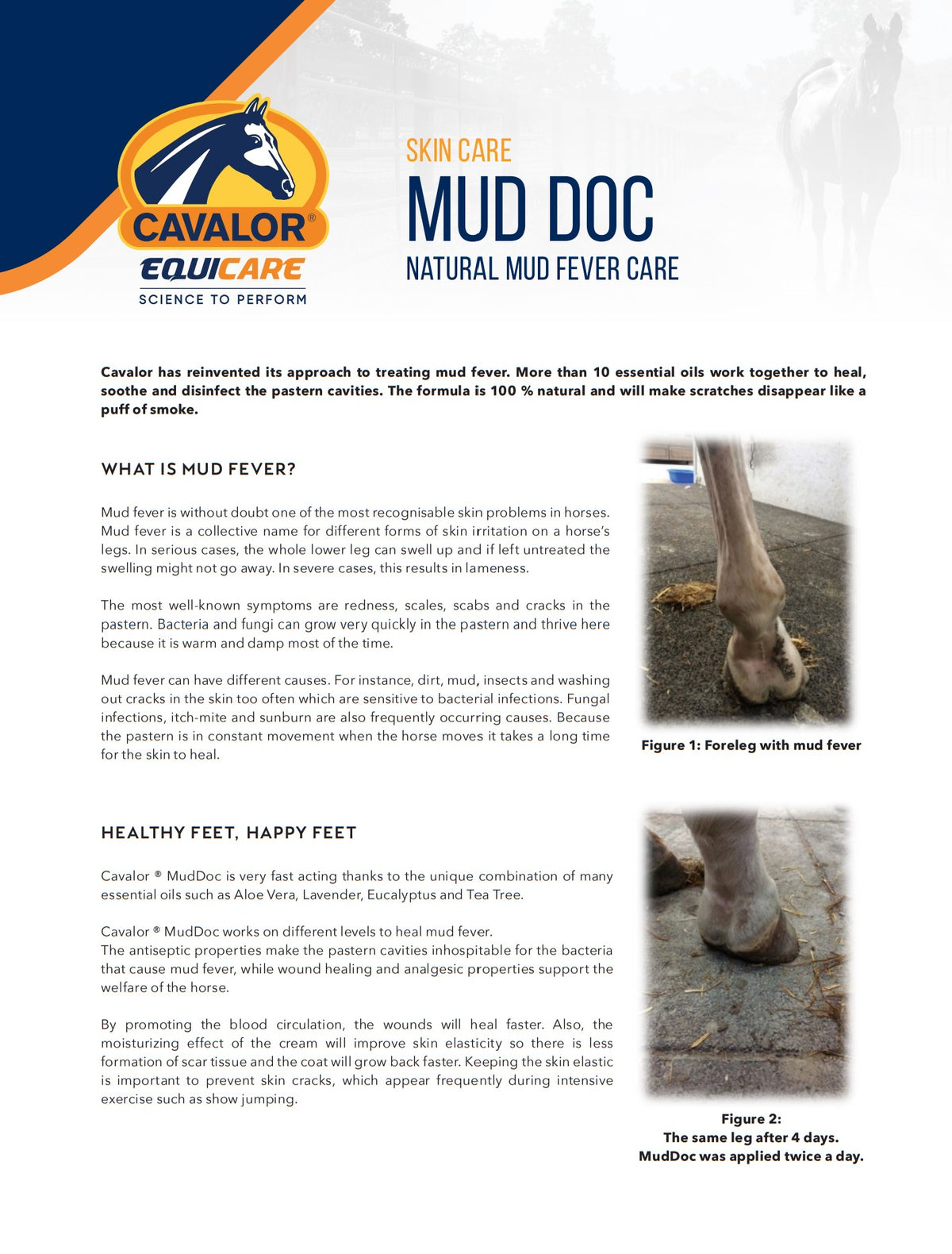 Cavalor Muddoc