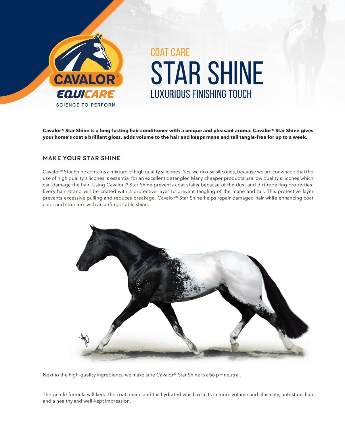 Cavalor Star Shine