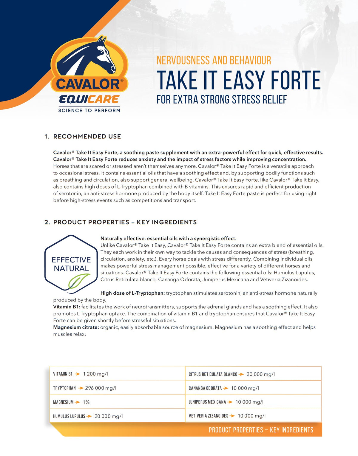 Cavalor Take it Easy Forte Paste