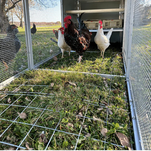 Farm and Yard Mobile Chicken Coop - 3 Panel