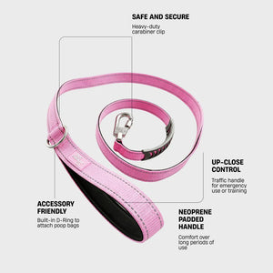 Dog Friendly Co Classic Dog Leash