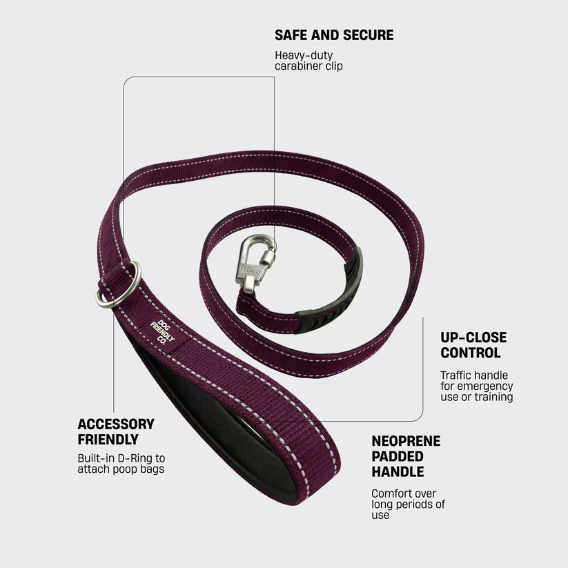 Dog Friendly Co Classic Dog Leash