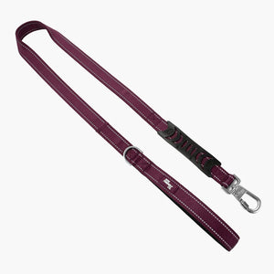 Dog Friendly Co Classic Dog Leash