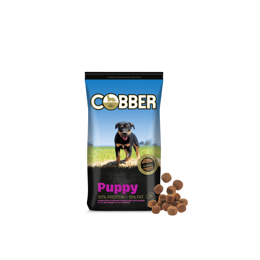 Cobber Puppy Dry Dog Food