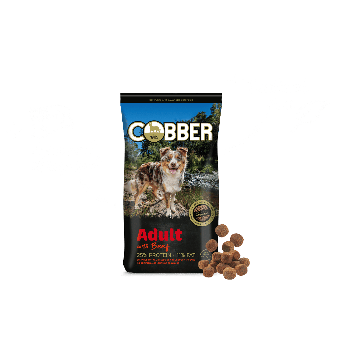 Cobber Adult with Beef Dry Dog Food
