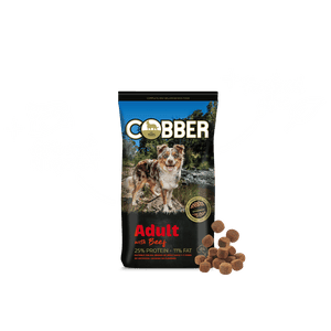 Cobber Adult with Beef Dry Dog Food