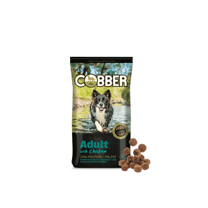 Cobber Adult with Chicken Dry Dog Food