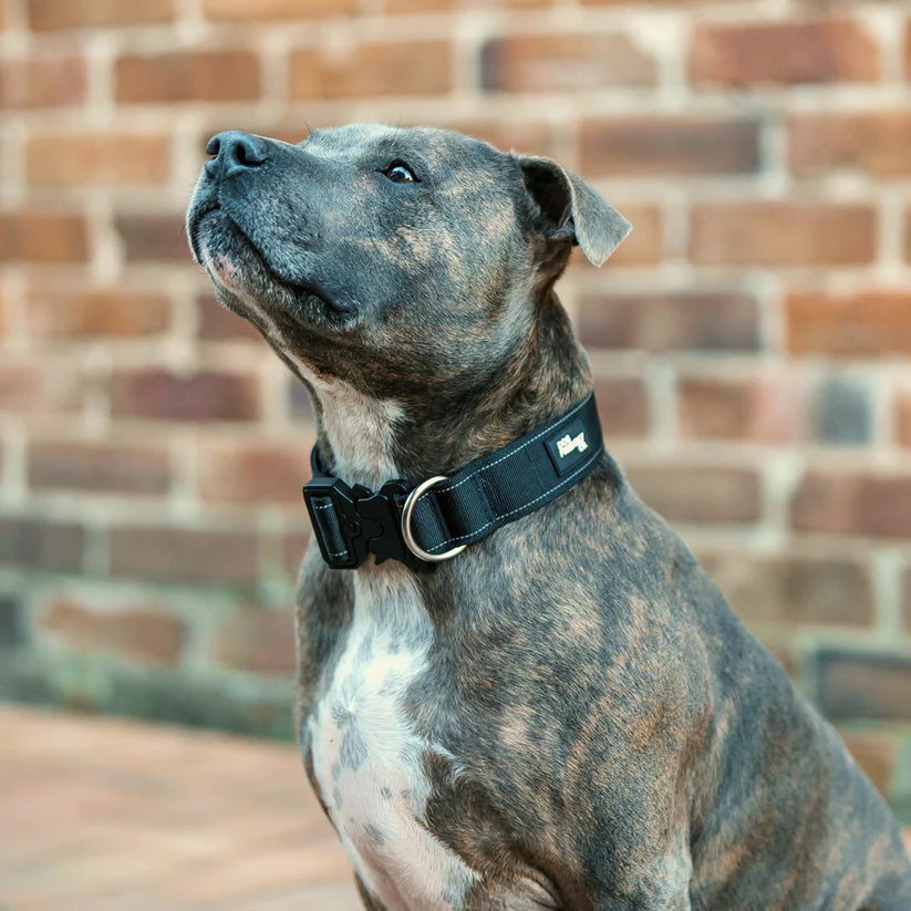 Dog Friendly Co Tactical Dog Collar