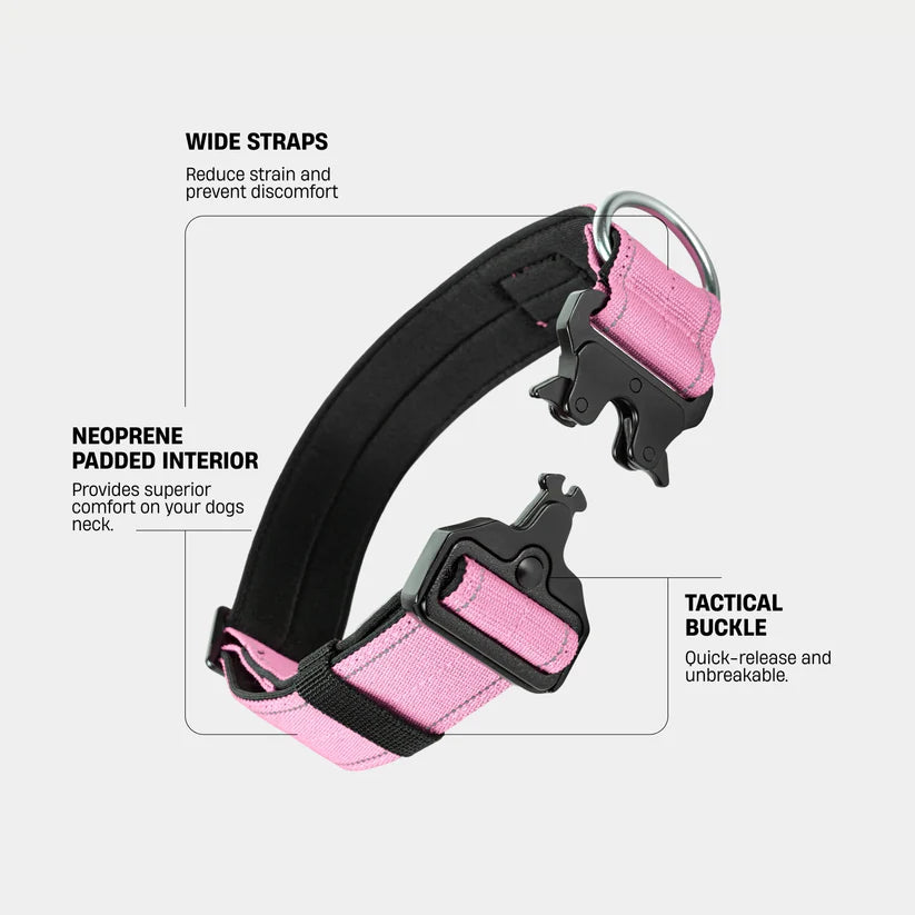 Dog Friendly Co Tactical Dog Collar