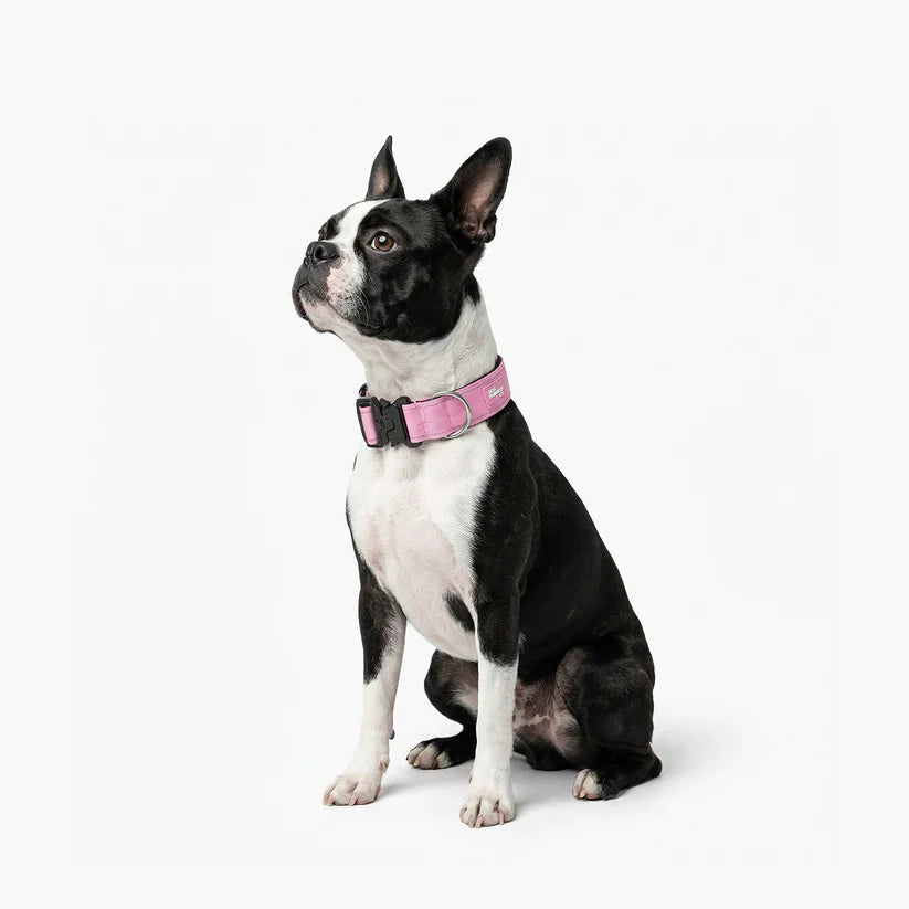 Dog Friendly Co Tactical Dog Collar