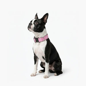 Dog Friendly Co Tactical Dog Collar