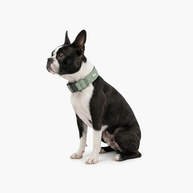 Dog Friendly Co Tactical Dog Collar