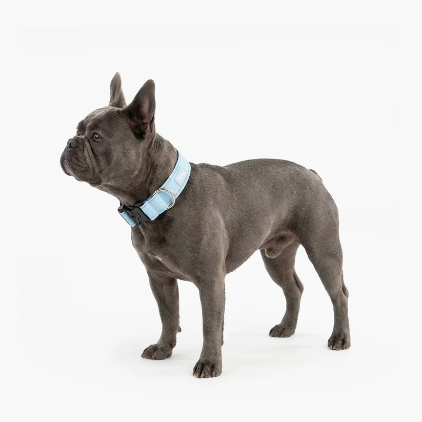Dog Friendly Co Tactical Dog Collar