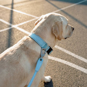 Dog Friendly Co Tactical Dog Collar