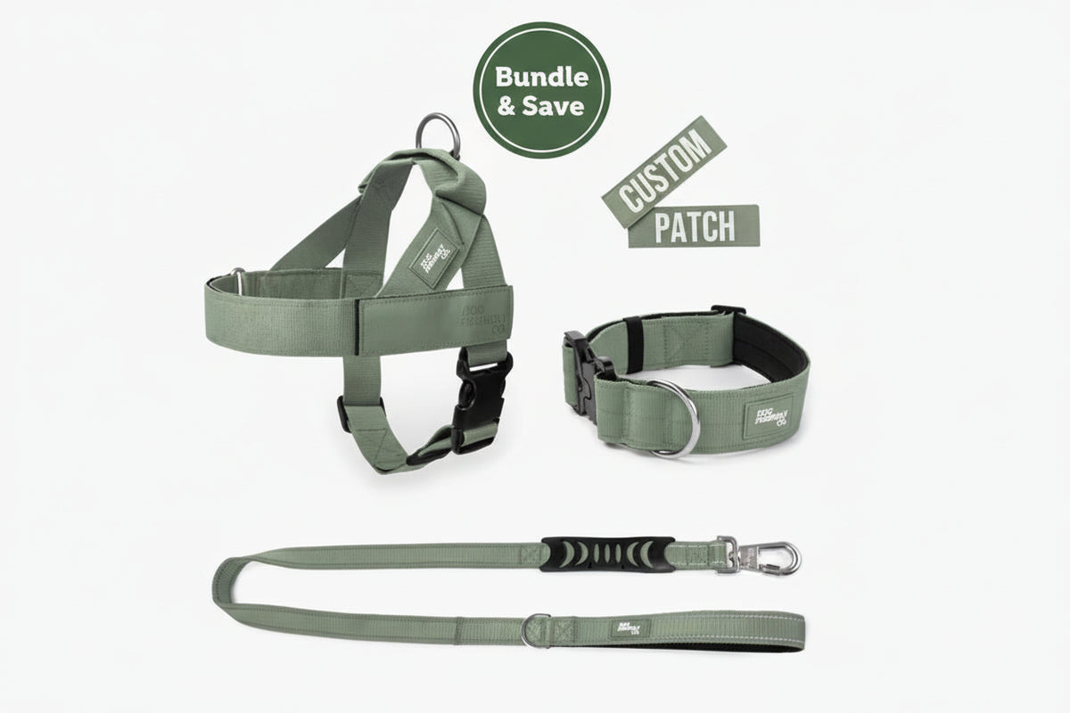 Dog Friendly Co Dog Lovers Pack - Khaki