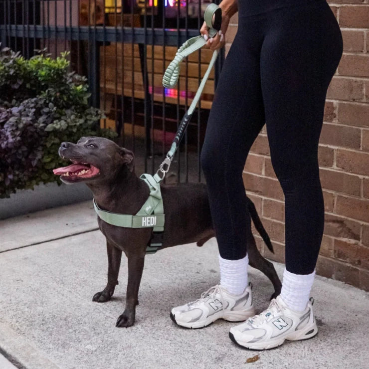 Dog Friendly Co Dog Harness