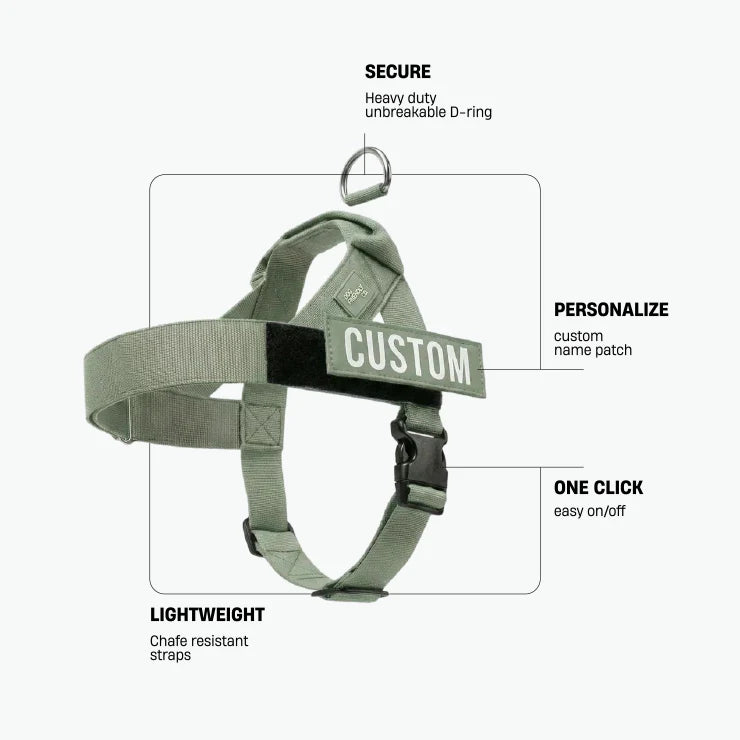 Dog Friendly Co Dog Harness