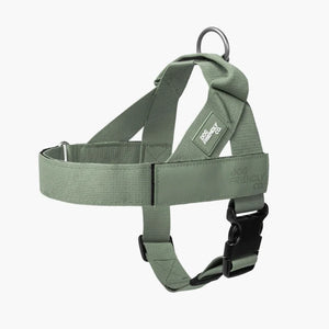 Dog Friendly Co Dog Harness
