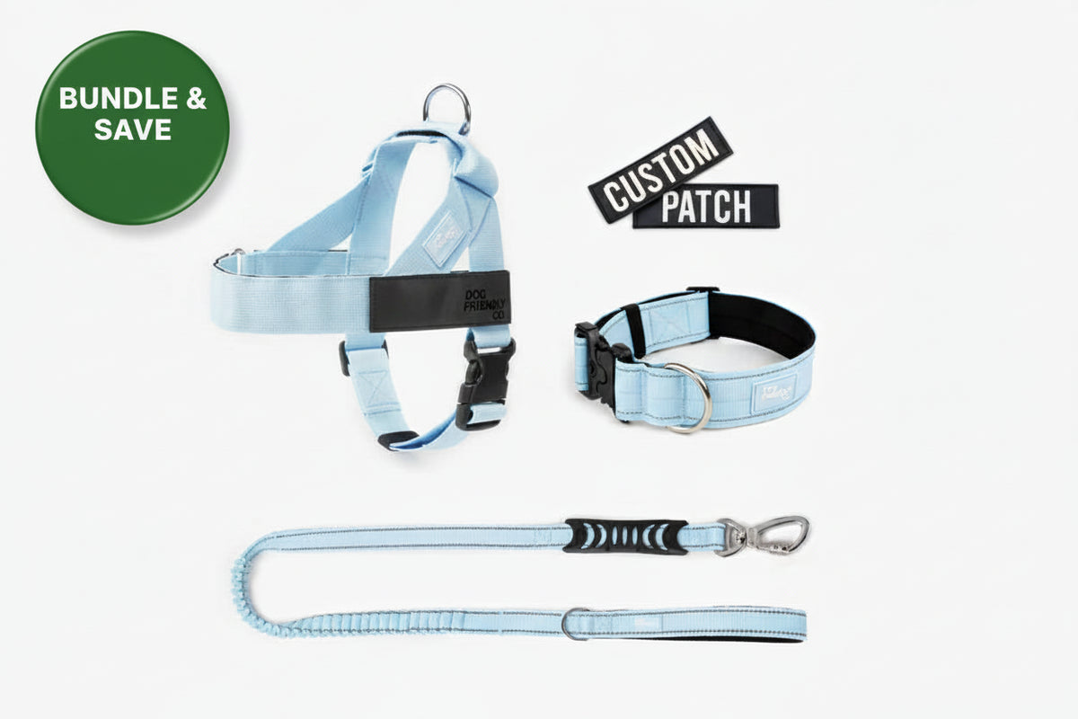Dog Friendly Co Dog Lovers Pack - Sky Blue