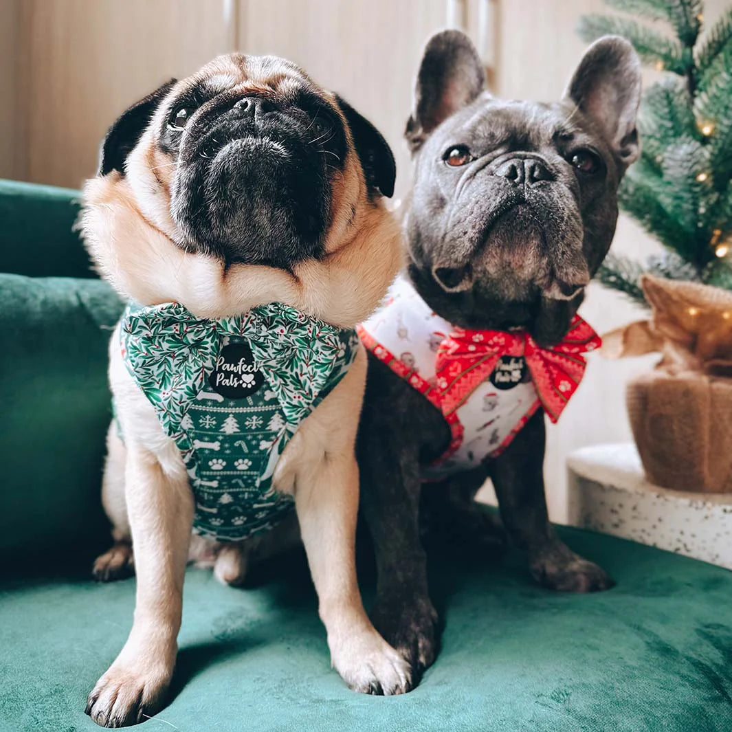 Bow Tie - Mistletoe