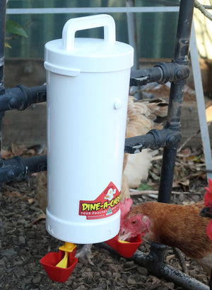 Dine A Chook Poultry Drinker 2L - Twin Cup