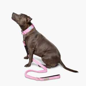Dog Friendly Co Tactical Dog Collar