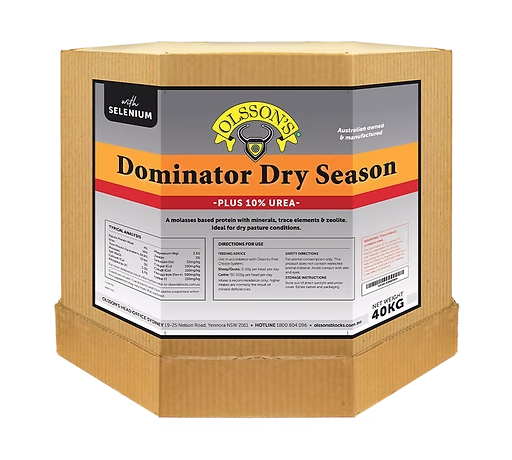 Olssons Dominator Dry Season Plus 10% Urea Lick Block