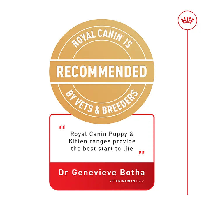 Royal Canin Kitten Sterilised Dry Food