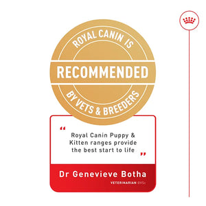 Royal Canin Kitten Sterilised Dry Food