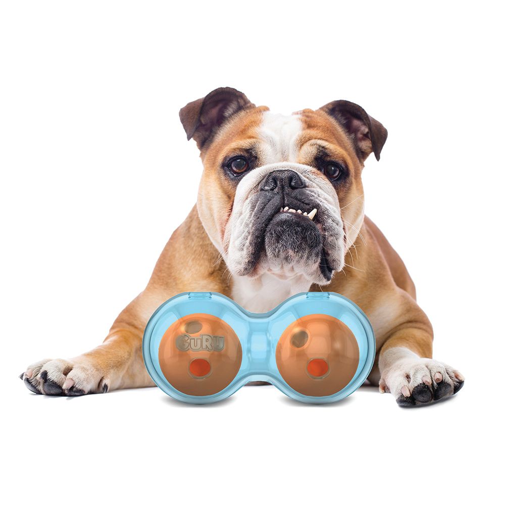 Guru Duo Ball Medium Dog Toy