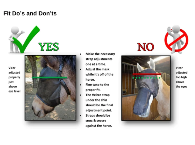 Equivizor Standard Fly Mask