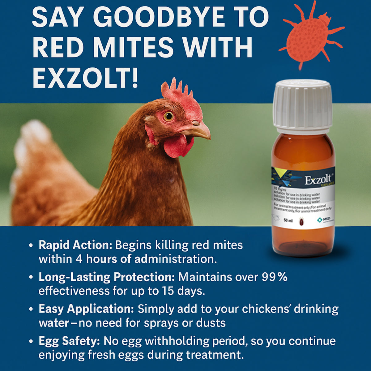 MSD Exzolt Red Mite Treatment For Chickens