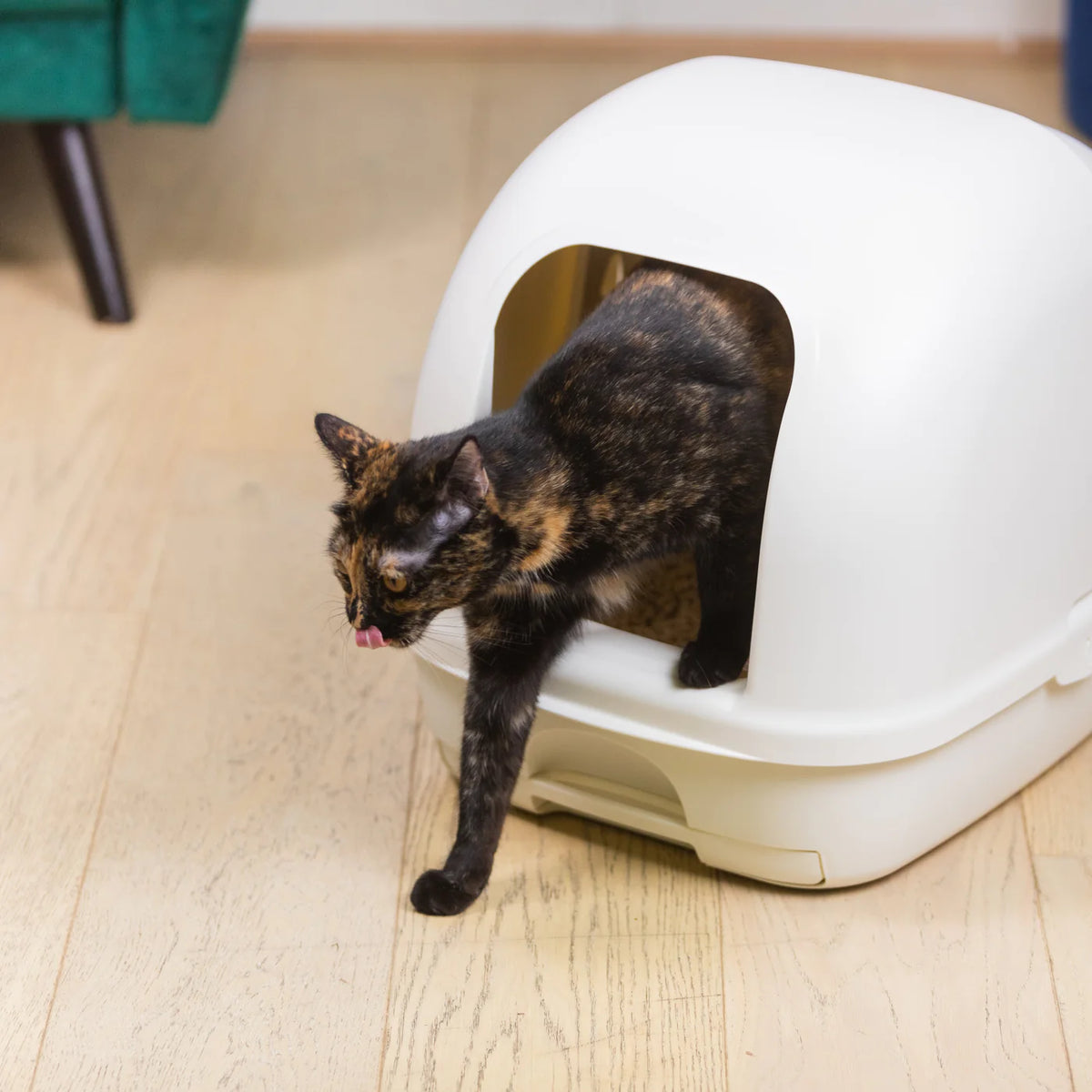 Ezi-LockOdour Dual Layer Hooded Cat Litter System
