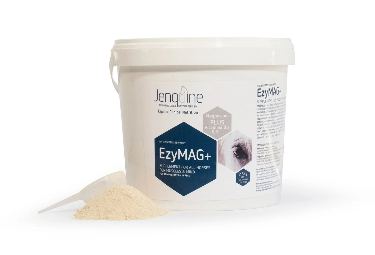 Jenquine Ezymag +