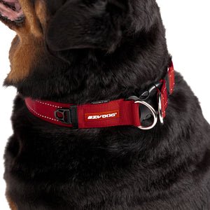 EzyDog Collar Double Up