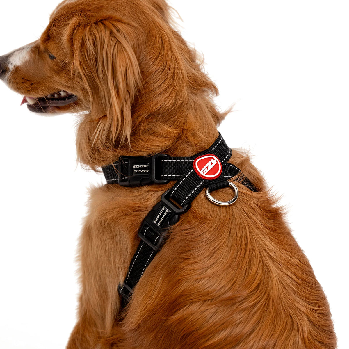 EzyDog Harness Chest Plate