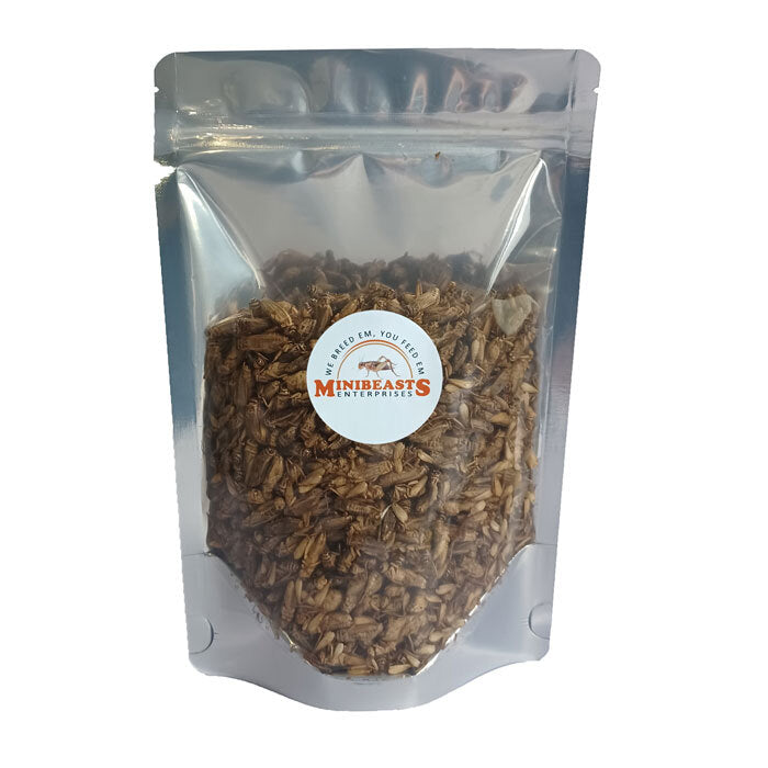 Minibeasts Freeze Dried Crickets